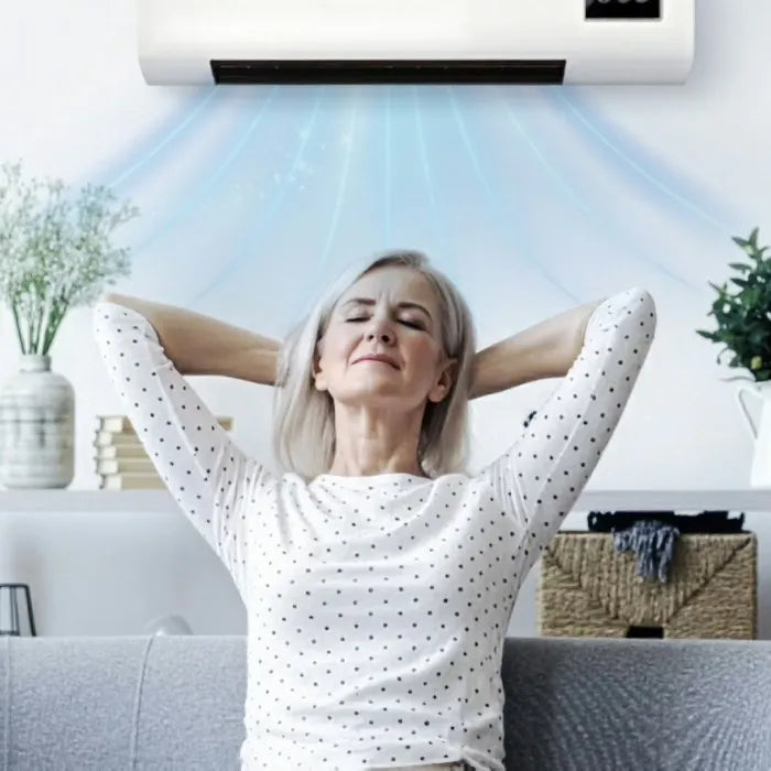 Two-in-one wall-mounted air conditioner